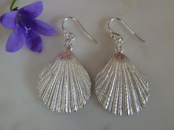 fan shell drop earrings