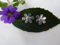 small silver daisy studs