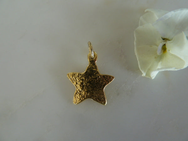 gold star sentiment charm pendant